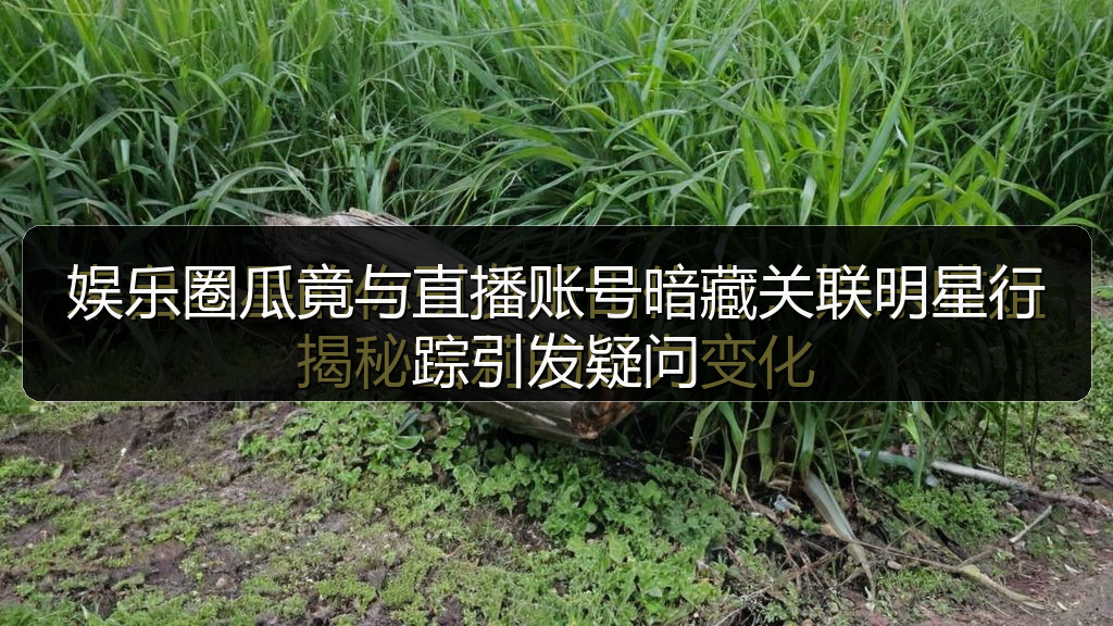 娱乐圈瓜竟与直播账号暗藏关联明星行踪引发疑问